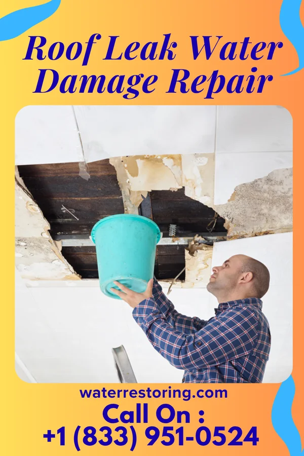 Roof Leak Water Damage Repair in Westville, FL
