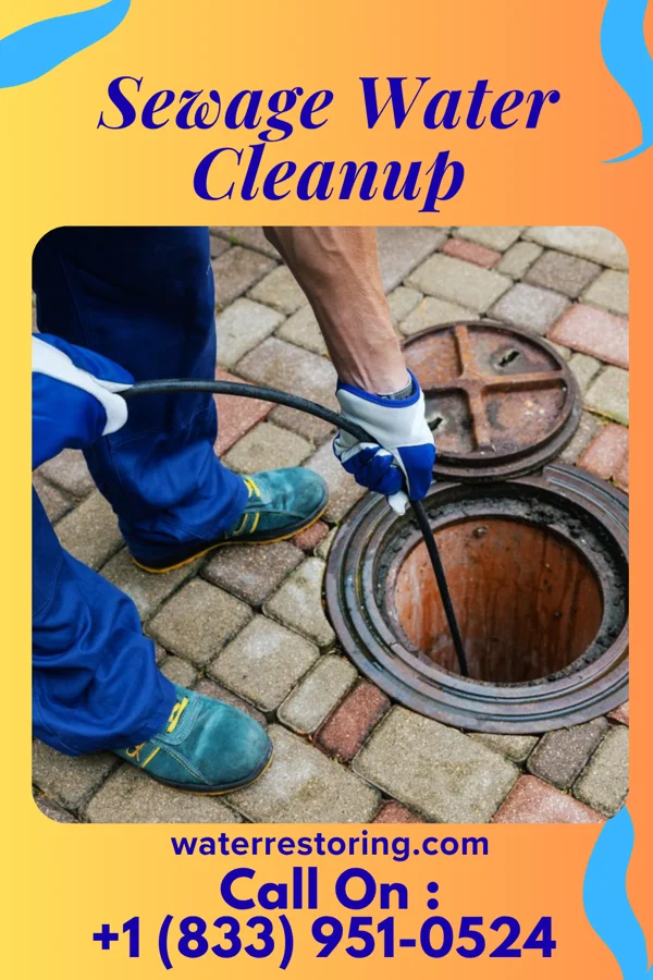 Sewage Water Cleanup in Westville, FL